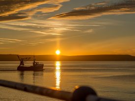 Die 10 besten Fischmärkte in Neuengland